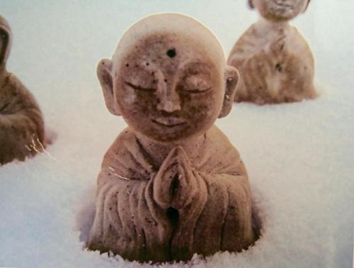 51940886_389177571899467_2041673340501884928_n